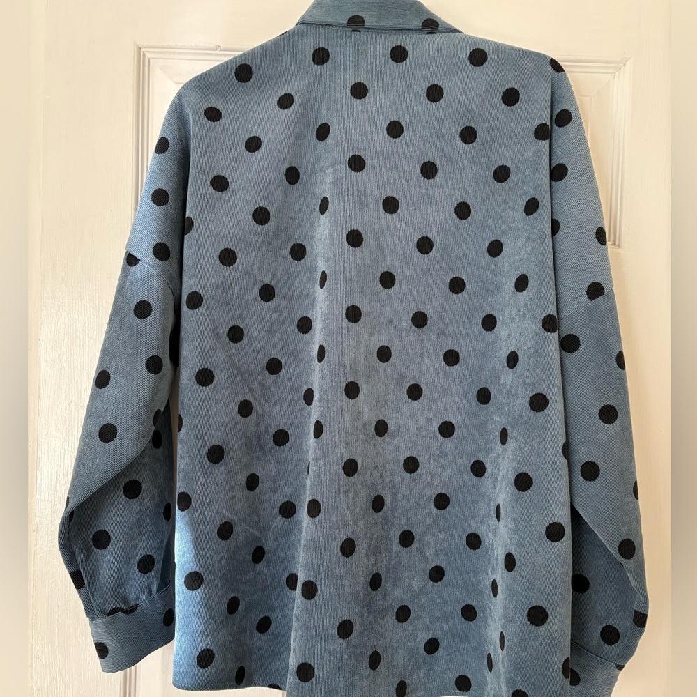 Zara Blue Button-Down Shirt with Black Polka Dots - Picture 2 of 4